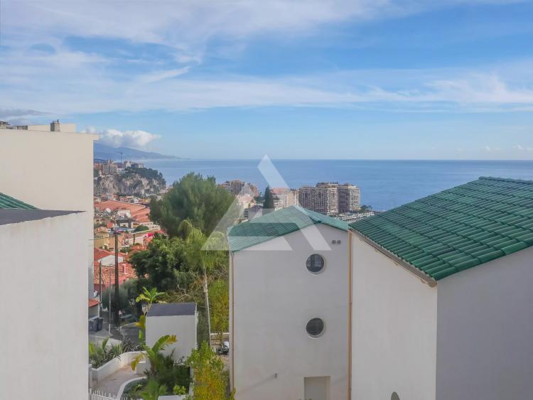 CAP D'AIL - VILLA NEUVE - JARDIN ET PISCINE